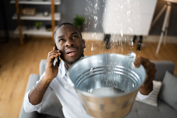 Best Water damage restoration company  in Cloverly, MD